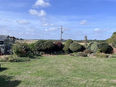 Picture 26